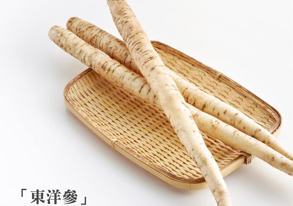 牛蒡知多少